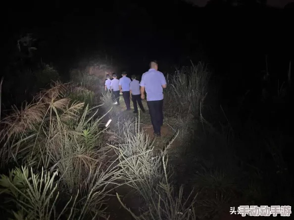 一小时人生全地形资源详细一览及食物获取与危险区域汇总指南