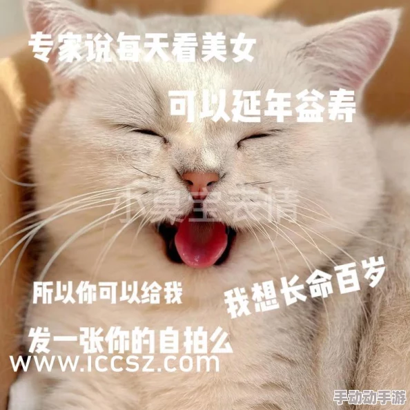 探索极品美女A∨片在线看的精彩世界，尽享视觉盛宴与心灵震撼