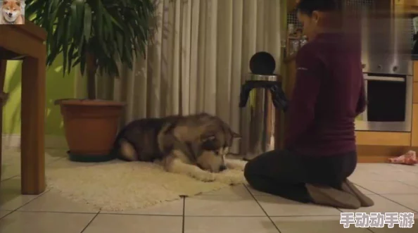 情侣奴跪下用嘴伺候主人，展现出极致的服从与忠诚，引发网友热议，讨论恋爱关系中的权力与角色扮演