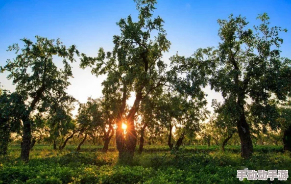 欧洲一级黄色：最新动态显示该地区气候变化加剧，导致农业生产面临严峻挑战，农民亟需应对新情况