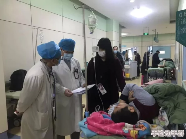 堡垒前线游戏攻略：详细解析兔子箱的使用方法与技巧