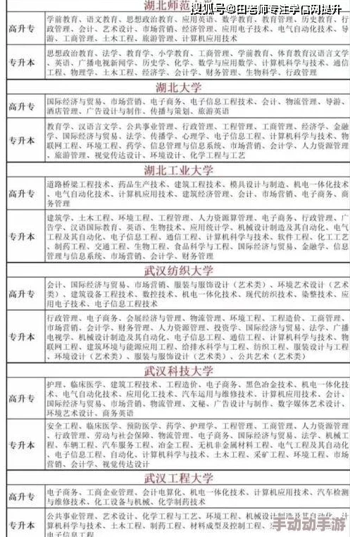探讨一级黄色录像带的历史、影响及其在现代社会中的地位与争议