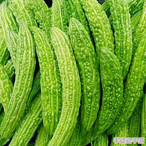 苦瓜色影视：新片《夏日苦涩》引发观众热议，挑战传统审美界限！