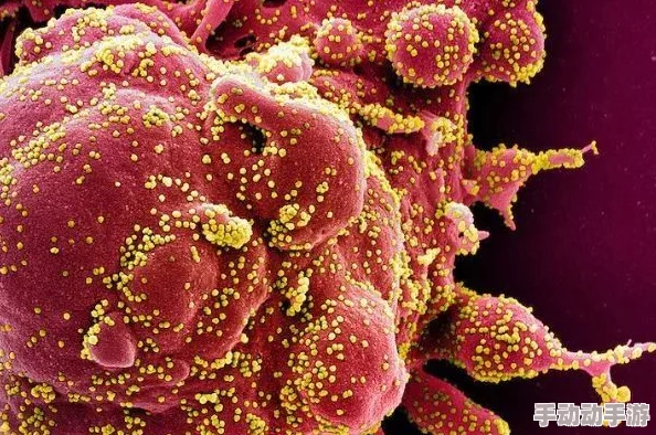 男女激烈动态图:最新研究揭示性别差异对情感表达和身体语言的影响,促进更深层次的理解与沟通 男女激烈动态图:最新研究揭示性别差异对情感表达和身体语言的影响,促进更深层次的理解与沟通