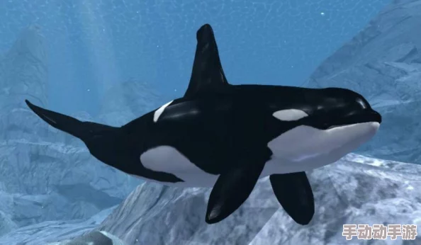 探索蝌蚪自拍网二区：畅享多样化的创意自拍与互动体验