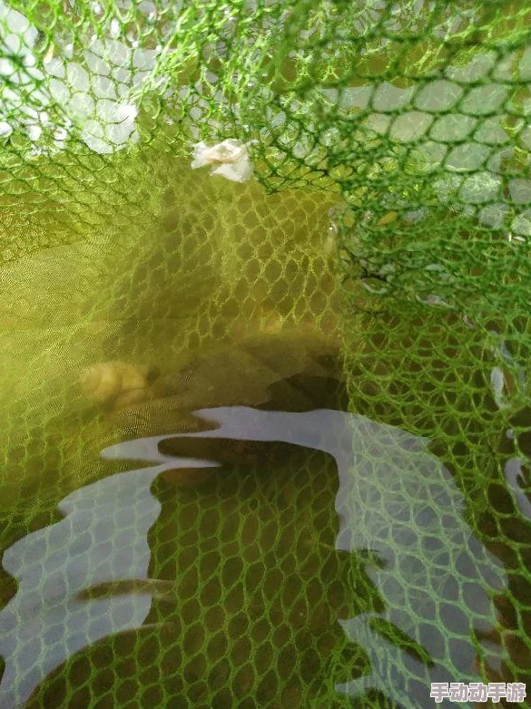 方舟生存进化高效钓鱼技巧：揭秘使用水蛭血提升收益的策略