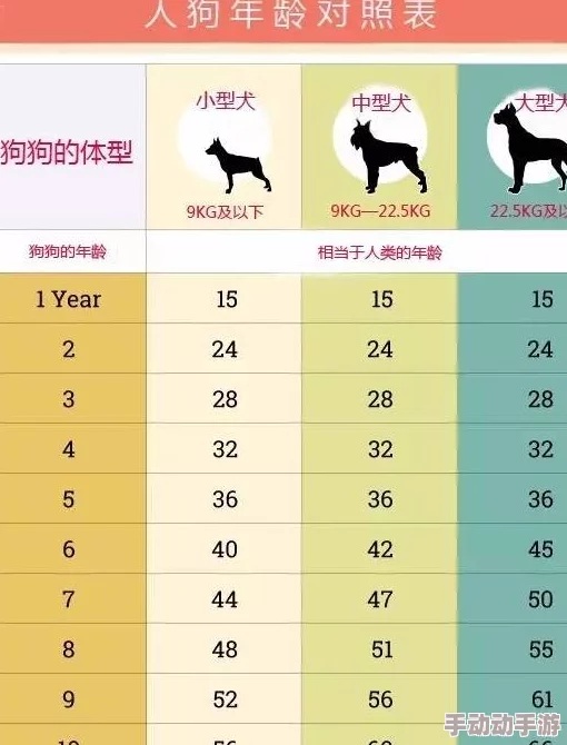 一小时人生：全面解析狗狗驯养技巧与出生时间表格一览
