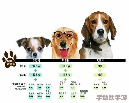 一小时人生：全面解析狗狗驯养技巧与出生时间表格一览