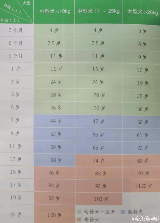 一小时人生：全面解析狗狗驯养技巧与出生时间表格一览