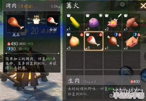 风云岛行动游戏中：生肉与熟肉的增益效果及安全性区别分析