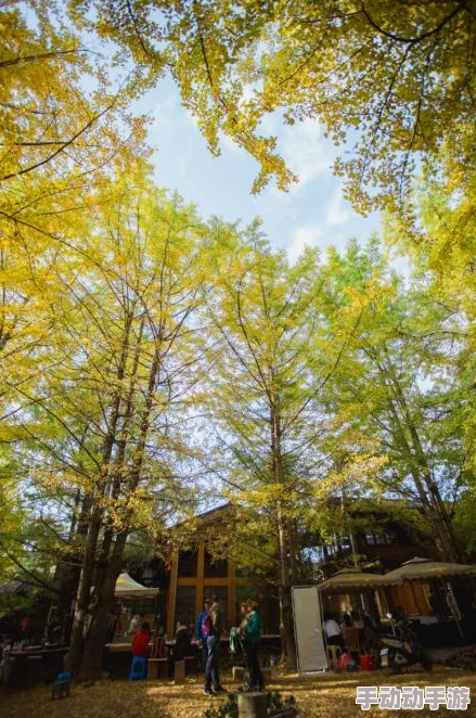 探索久久精品视频播放的魅力：让你沉浸在无限精彩与独特视听体验中的全新旅程