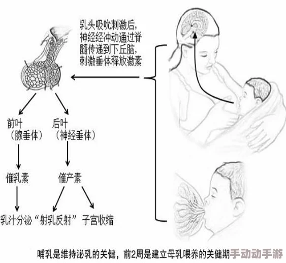 探索奶水hhh的奇妙世界:从母乳喂养到营养价值,揭示背后的科学与文化 探索奶水hhh的奇妙世界:从母乳喂养到营养价值,揭示背后的科学与文化