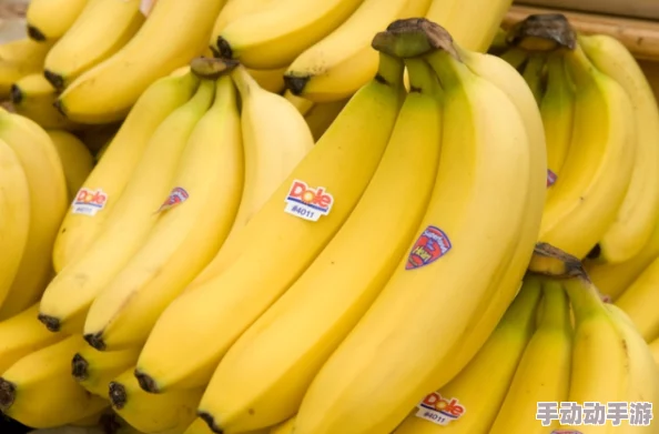 探索香蕉在线精品亚洲第一区：热带水果的魅力与健康生活方式的完美结合