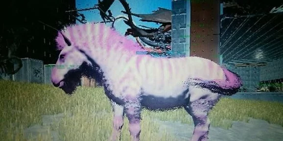 方舟生存进化：庞马驯服技巧及饲料位置全面指南