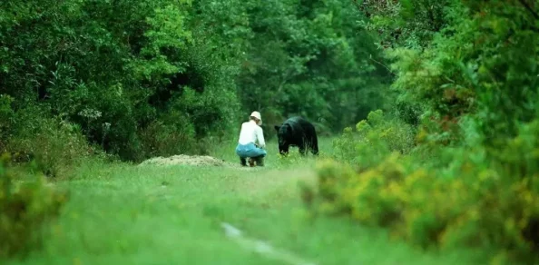 在秘密花园钻来钻去：最新活动吸引众多游客，体验自然之美与神秘氛围交织的奇妙旅程