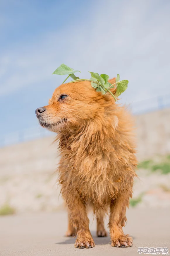 国内精品a:最新动态显示市场需求持续增长,品牌竞争加剧,消费者偏好逐渐向高品质产品倾斜 国内精品a:最新动态显示市场需求持续增长,品牌竞争加剧,消费者偏好逐渐向高品质产品倾斜