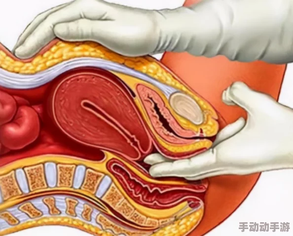妇女权益保护新进展：最新政策解读与实施效果分析，助力女性平等参与社会生活