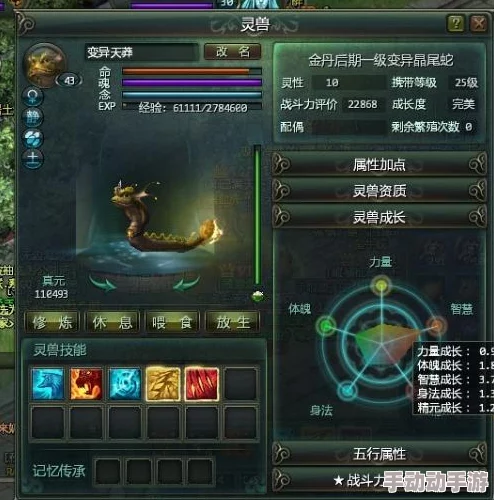 星辰变手游攻略：御龙宝石最佳选择解析，武器镶嵌火源石提升战力指南