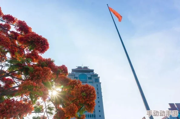 99久久精彩视频：最新动态揭示平台内容更新，用户互动提升，带来更丰富的观看体验与多样化的视频选择