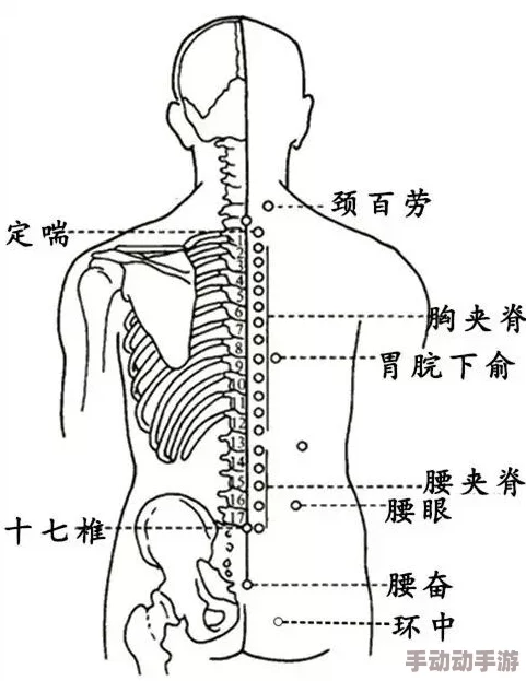 吸 嗦花穴插入：最新研究揭示其对性健康的积极影响与潜在风险分析