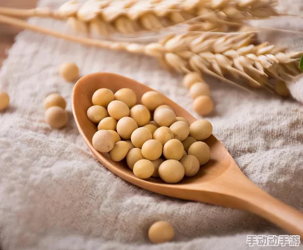 功夫大黄豆元素使技能加点全面解析：优先升级仙人模式攻略