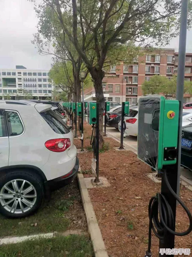 探索男女之间的亲密关系：一场关于爱与理解的免费视频分享，揭示情感世界的奥秘与魅力