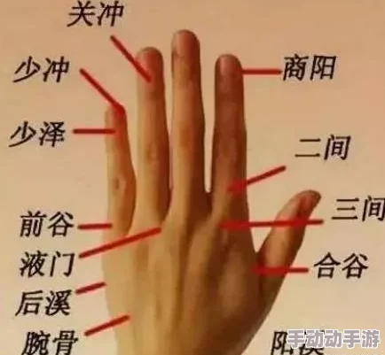 探索“久久久久久穴”的神秘世界：揭示其在传统医学与现代养生中的独特价值与应用潜力