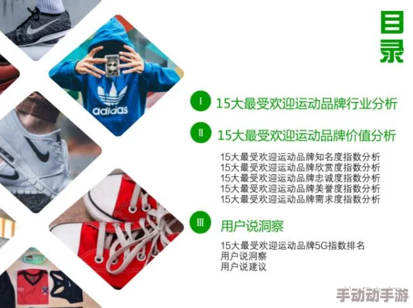 718sx张津瑜国际版车型价格分析：市场定位与消费者需求的深度探讨