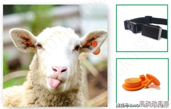 人马畜禽company免费澎湃号：全新产品发布，助力养殖业升级与可持续发展，欢迎关注我们的最新动态！