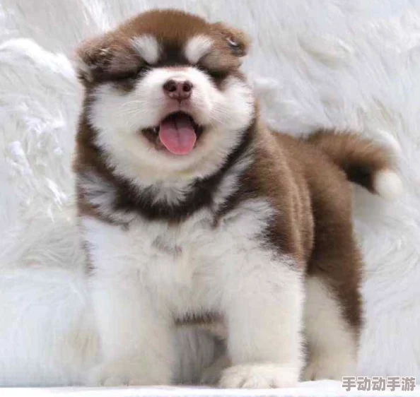 69交性视频引发网友热议，许多人表示好奇，但也有不少人认为内容不适合公开传播