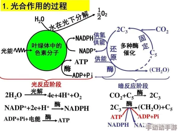 WPUC-TYQZ-MNMT-XSUJ：探讨全球气候变化对经济发展的影响及应对策略