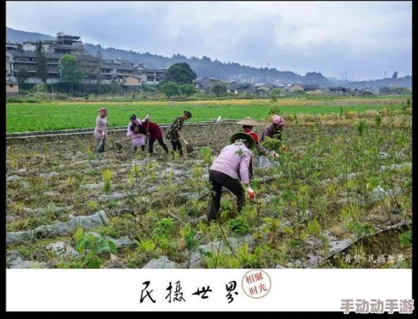 探索久久精品国产乱子伦多人带来的全新视角与深度体验