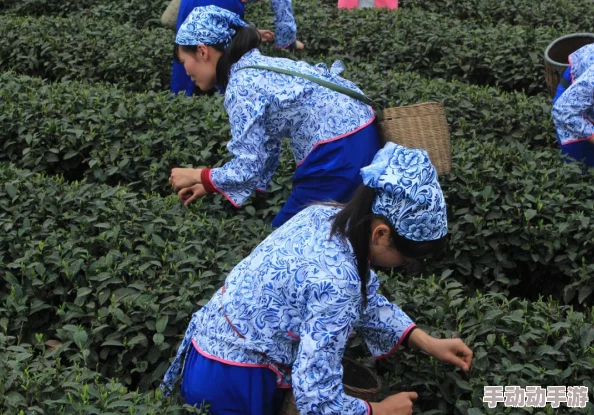 剑网3指尖江湖金叶子获得方法介绍：多种途径助你轻松收集