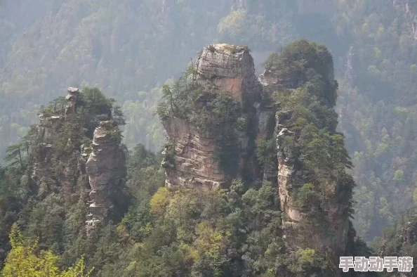 探索国产精品一级二级三级的独特魅力与市场潜力分析