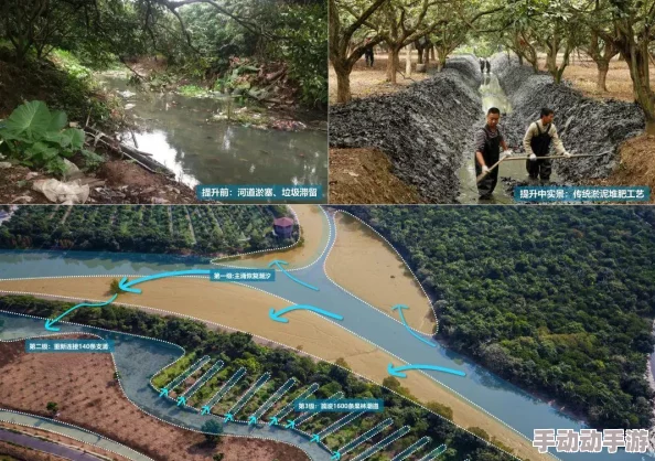 探索三级AA视频在线观看的多样性与魅力,揭示其背后的文化现象 探索三级AA视频在线观看的多样性与魅力,揭示其背后的文化现象