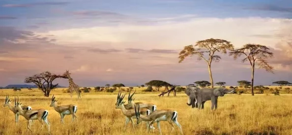 探索凌虐与重口味的极致体验：高辣刺激下的禁忌之旅，挑战你的感官极限！