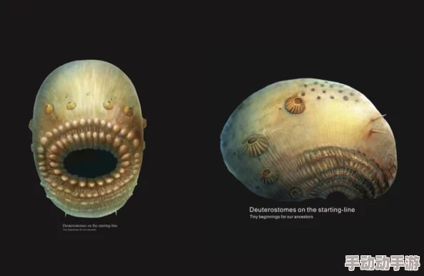 九色丨蝌蚪ponyr：震惊！全国范围内发现神秘生物，专家预言将引发生态链重大变化！