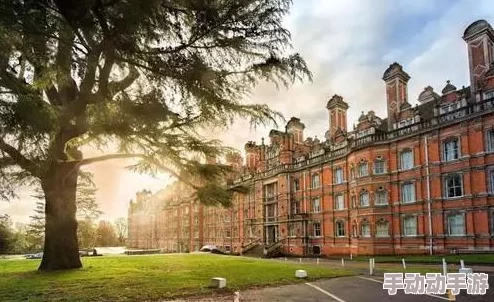 国产乱子精品免费视观看片：最新动态与观影体验分享，带你领略不一样的视觉盛宴与精彩内容！