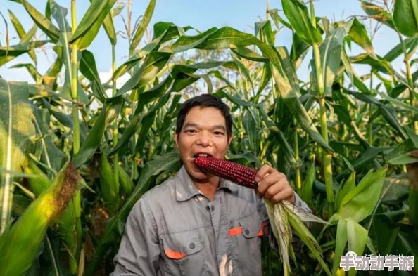 快一点深一点我还要在玉米地，这句话引发了网友们的热议，大家纷纷表示这可能是对生活压力的一种调侃