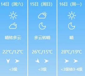 明日之后游戏中轻微感冒应对方法：快速解决轻微感冒症状指南