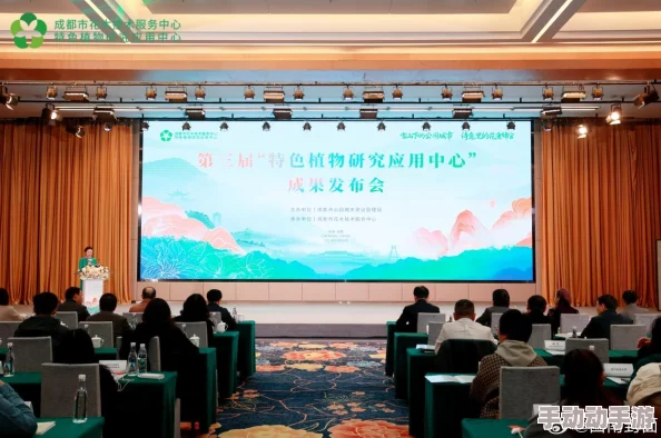 探索国产专区青青草原亚洲：多元文化与创新发展的交汇点