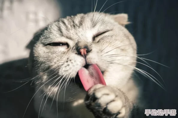 久久香蕉国产观看猫咪3atv：最新研究显示，猫咪对人类情感的反应比我们想象中更复杂，引发网友热议与讨论