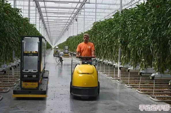 《明日之后》游戏指南：辣椒采集位置图览及高效获取攻略