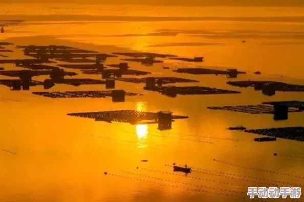 国产黄a三级三级三级：最新动态引发热议，观众期待更多精彩内容与创作方向的变化