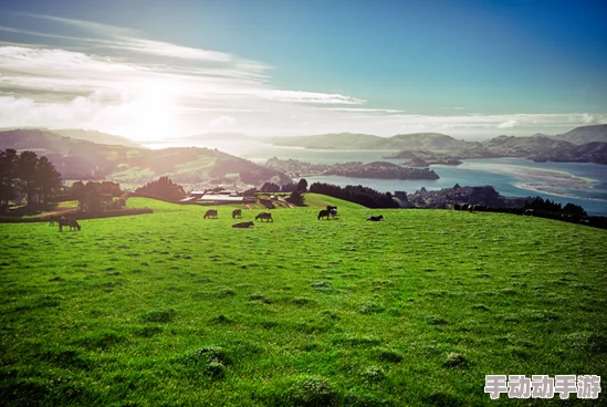探索久久久青草青青亚洲国产免观的独特魅力与文化内涵