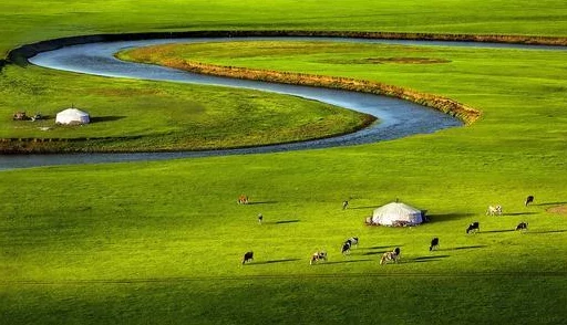 探索久久久青草青青亚洲国产免观的独特魅力与文化内涵