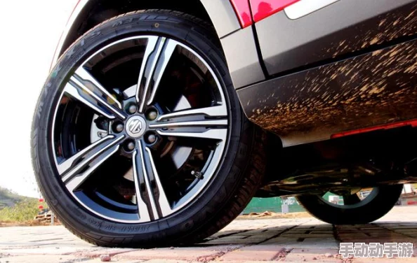 在欧美香蕉的奇妙世界中，爽爽爽快观看可爱猫咪的欢乐时光