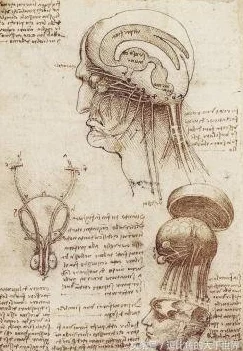 忍者必须死2游戏内声望领取异常问题详细说明及有效解决方法指南