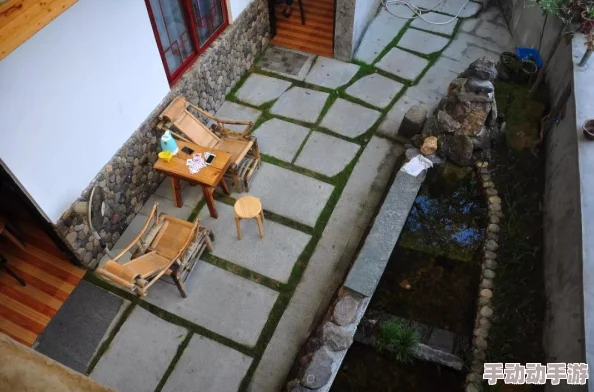 伊人狠狠操：最新动态曝光，深度解析其背后的故事与影响，引发网友热议与讨论