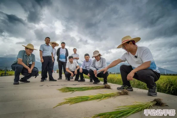 A级小视频最新进展：行业规范逐步完善，内容审核机制日益严格，用户体验持续提升